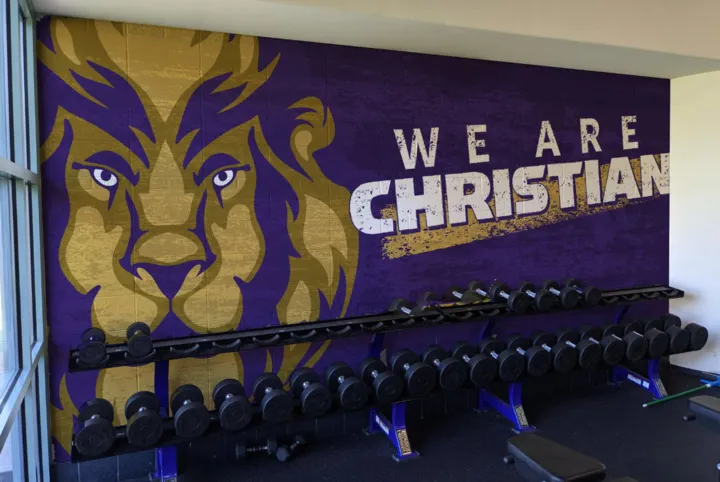 Wrap or mural